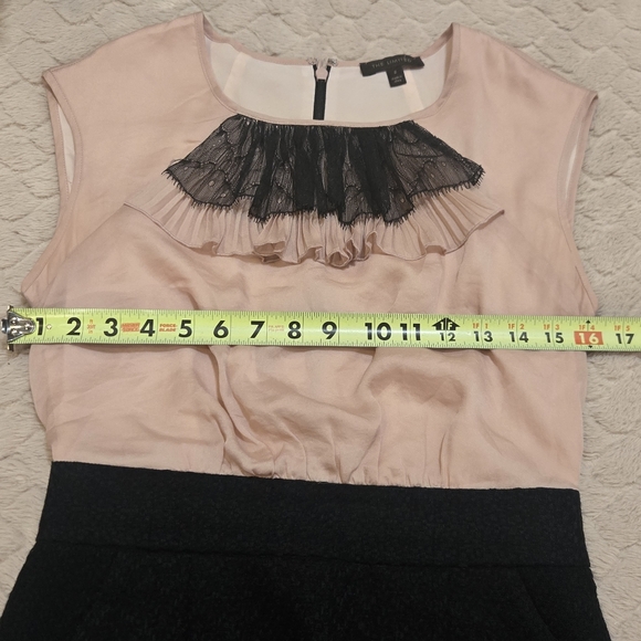 The Limited Pink & Black Colorblock Lace Pleated Bib Office Dress, Size 2 - Picture 3 of 10